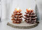 Pinecone Candles - Set of 2