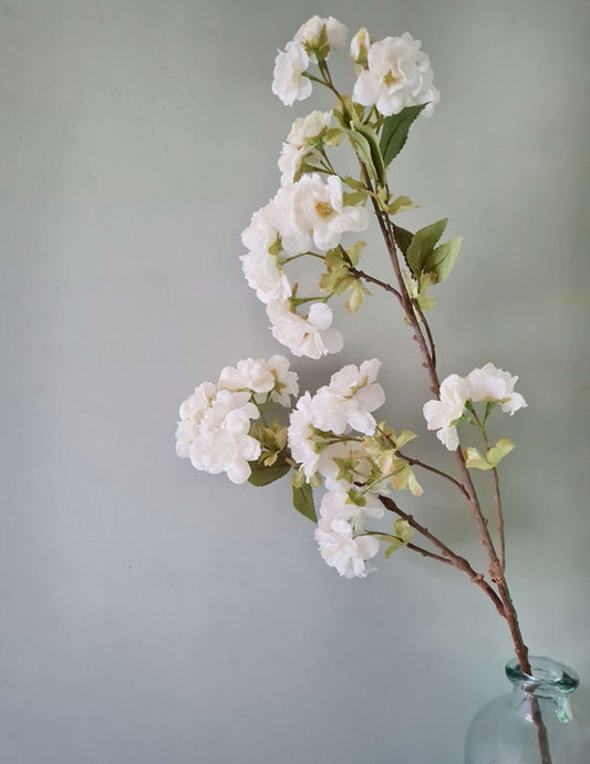 White Cherry Blossom Stem