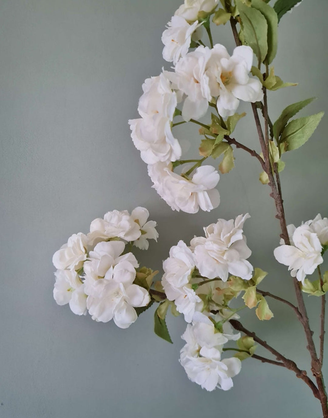 White Cherry Blossom Stem