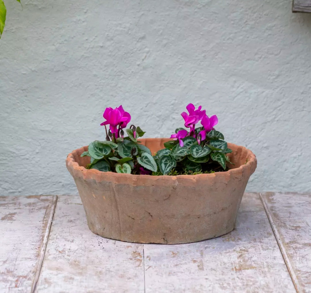 Antiqued Redstone Frill Dish Planter