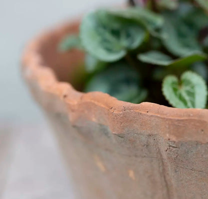 Antiqued Redstone Frill Dish Planter