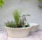 Antiqued Whitestone Frill Dish Planter