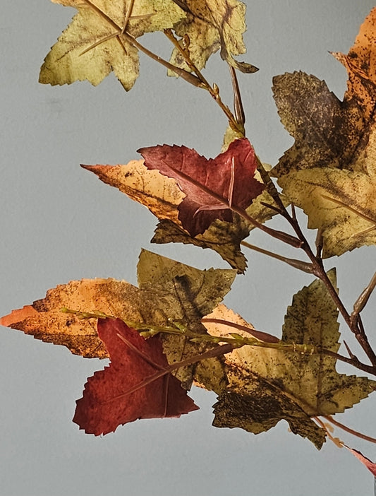 Autumn Maple Stem