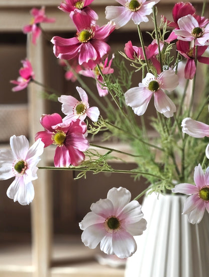 Cosmos Daisy Spray - 2 Colours