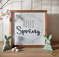 ' Hello Spring ' Wooden Plaque - IMPERFECT