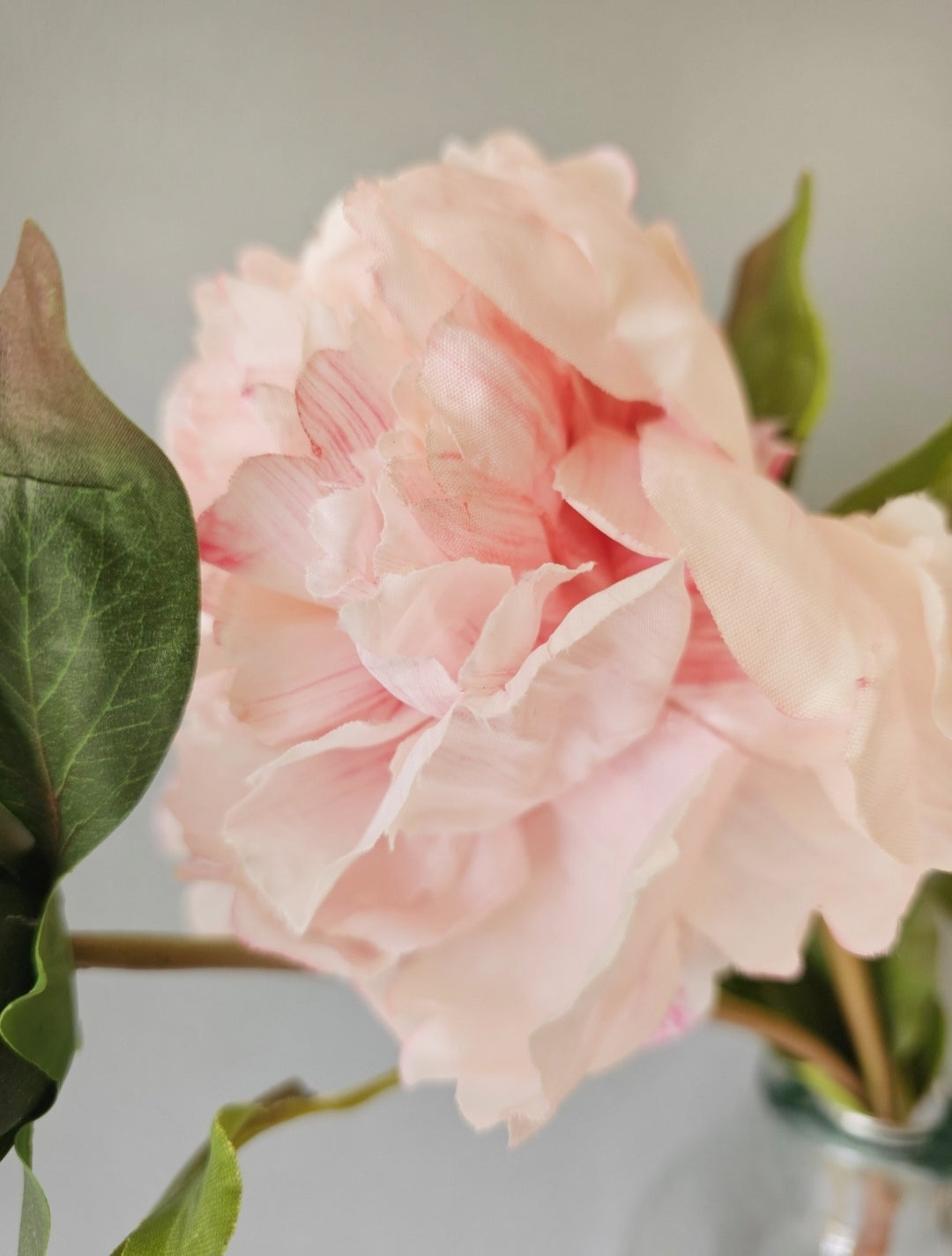 Large Fluffy Pale Pink Peony Stem