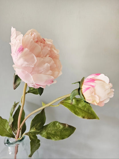 Large Fluffy Pale Pink Peony Stem