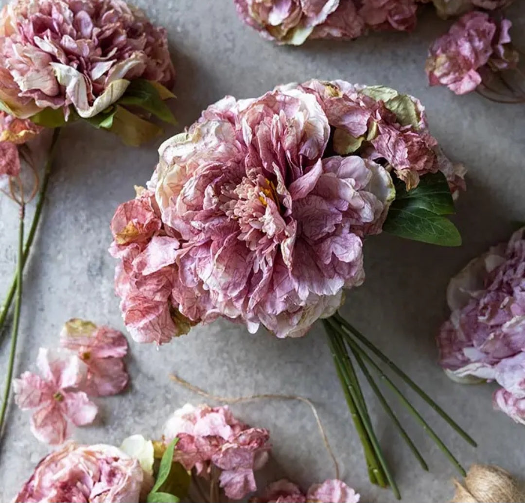 Dried Peony & Hydrangea Mix Bunch