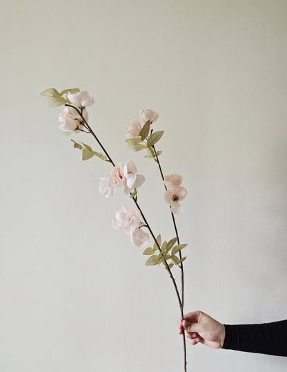 Quince Blossom Stem