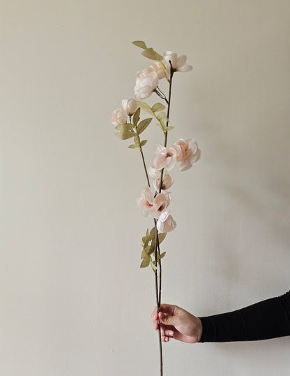 Quince Blossom Stem