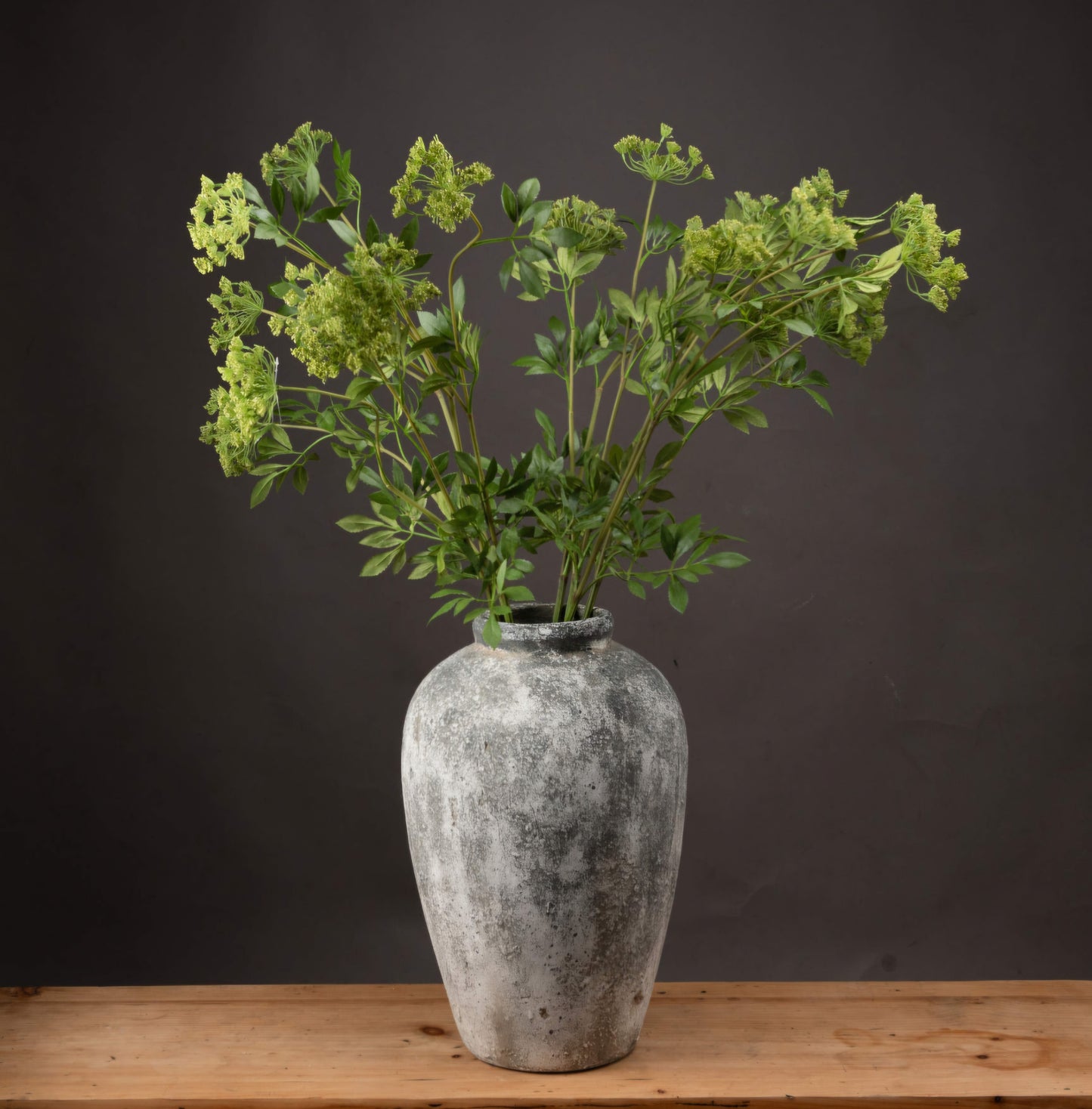 Luxury Green Cow Parsley Stem | 100cm