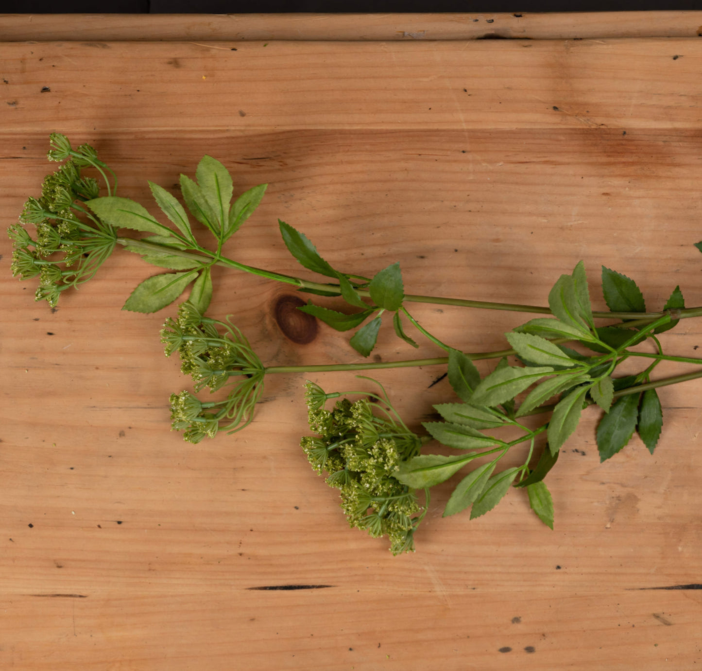 Luxury Green Cow Parsley Stem | 100cm