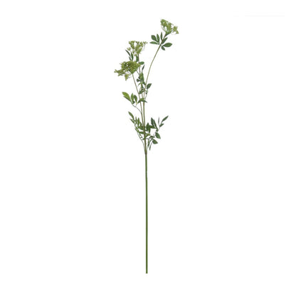 Luxury Green Cow Parsley Stem | 100cm