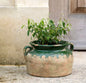 Terracotta Pot | Extra Large