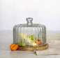 Scalloped Glass Cloche With Wooden Base