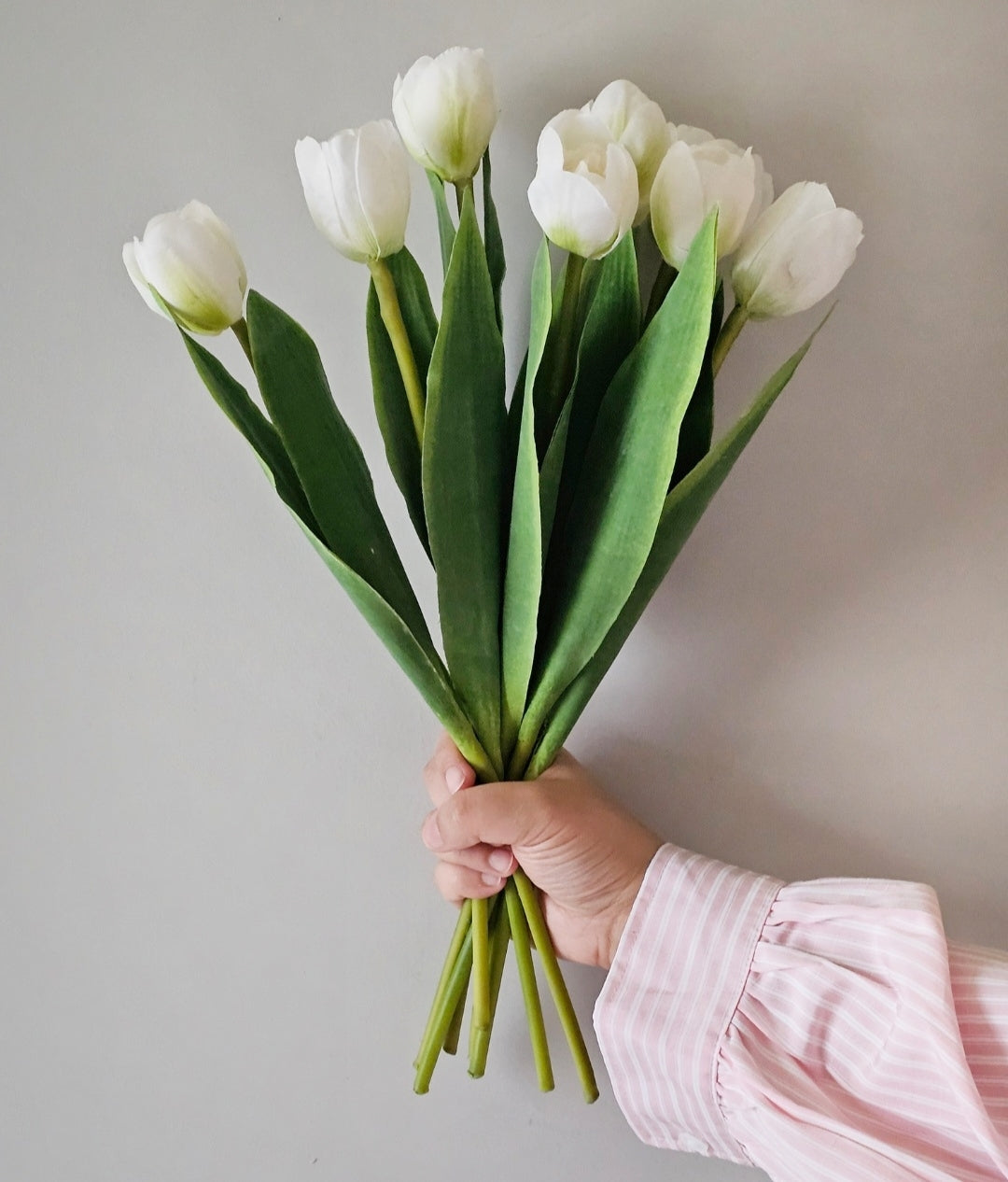 White Tulip Stem