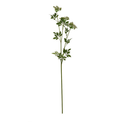 Luxury White Cow Parsley Stem | 100cm