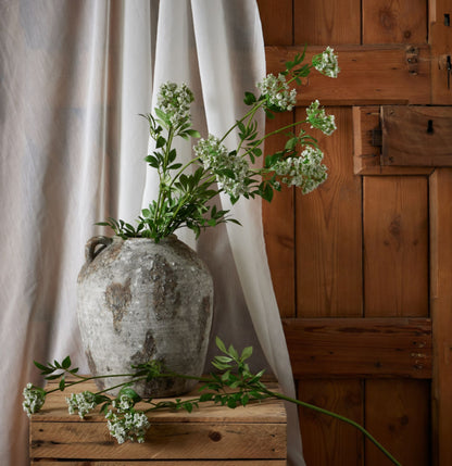 Luxury White Cow Parsley Stem | 100cm