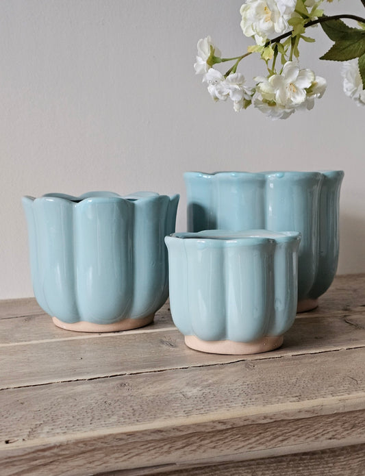 Blue/Green Tulip Planters | 3 Sizes